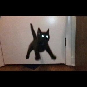 Meet your Posher, Julianna